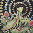 Mourning of the Praying Mantis / Worms With Strings [Vinyl]