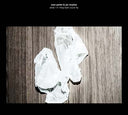 What/If/They Both Could Fly [CD]
