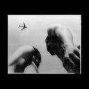 EVE ADAMS - Metal Bird |