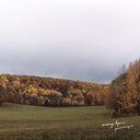 Quiet Energies [CD]