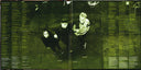 Everclear - Sparkle And Fade | Mint (M) Mint (M)