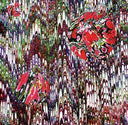 EVIL MADNESS - Super Great Love |