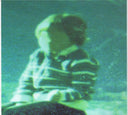 Boards Of Canada - Music Has The Right To Children *CD* | Mint (M) Mint (M)