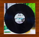 Kim Gordon - No Home Record | Mint (M) Mint (M)