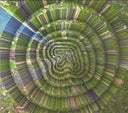 Aphex Twin - Collapse EP (CD) | Mint (M) Mint (M)