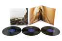 Polygon Window - Surfing On Sine Waves (3x VINYL)(Expanded Edition) | Mint (M) Mint (M)
