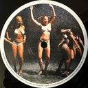 Aphex Twin - Windowlicker (VINYL) |
