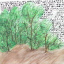 The Earth Is Not A Cold Dead Place | Mint (M) Mint (M)