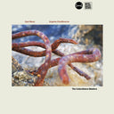 Eyal Maoz and Eugene Chadbourne - The Coincidence Masters (CD) | Mint (M) Mint (M)