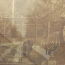 EZEKIEL HONIG - Folding In On Itself |