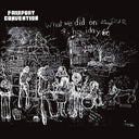 Fairport Convention - What We Did On Our Holidays [Import] [Vinyl]