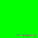 Party Album [Vinyl]