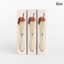 Plex [CD]