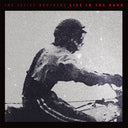 Felice Brothers - LIFE IN THE DARK |