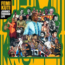 Femi Kuti - Journey Through Life (Orange VINYL) | Mint (M) Mint (M)