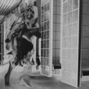 FEMME - Ruderal Exotique |