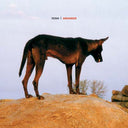 FENIN - Grounded |
