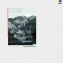 FINLAY SHAKESPEARE - Solemnities [Vinyl]