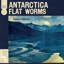 Flat Worms - Antarctica [Vinyl]