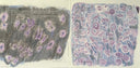 Florist (2) - Florist | Mint (M) Mint (M)