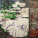 Flying Lotus - Presents INFINITY Infinitum Maida Vale Session | Mint (M) Mint (M)