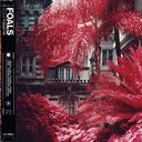 Foals - Everything Not Saved Will Be Lost (Part 1]) | Mint (M) Mint (M)