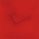 Ether Teeth [CD]