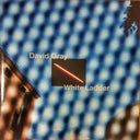 David Gray - White Ladder: 20th Anniversary (WHITE VINYL) | Mint (M) Mint (M)