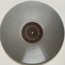 Daniel Rossen - You Belong There | Mint (M) Mint (M)