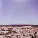 South of Here (GREEN IRIDESCENT VINYL) | Mint (M) Excellent (EX)