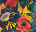 Songs And Instrumentals *CD* | Mint (M) Mint (M)