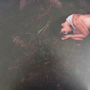 Bat For Lashes - The Dream Of Delphi | Mint (M) Mint (M)