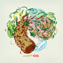 Eric Ayotte - Wavering (VINYL) | Mint (M) Mint (M)