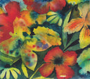 Songs And Instrumentals *CD* | Mint (M) Mint (M)