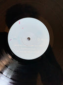 Angus & Julia Stone - Snow (VINYL) | Mint (M) Mint (M)