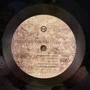 The Mountain Goats - Get Lonely | Mint (M) Mint (M)