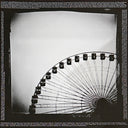 This Empty Northern Hemisphere | Mint (M) Mint (M)