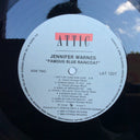Jennifer Warnes - Famous Blue Raincoat (The Songs Of Leonard Cohen) (VINYL) | Near Mint (NM) Near Mint (NM)