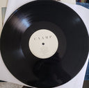 Caamp - Caamp (VINYL LP CAAMP CAAMP001 2023) | Mint (M) Mint (M)