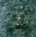 Adrianne Lenker - Hours Were The Birds | Mint (M) Mint (M)