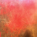 FOOM & FOAM - Foom & Foam |