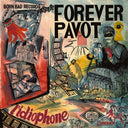 FOREVER PAVOT - L'Idiophone |