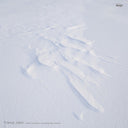 FRANCE JOBIN - Death Is Perfection, Everything Else Is Relative |