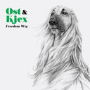 Freedom Wig | Mint (M) Mint (M)