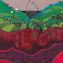 FREEFORM - Wildcat |