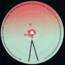 Fujiya & Miyagi - Ventriloquizzing | Mint (M) Mint (M)
