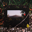 Moses Sumney - Live From Blackalachia | Mint (M) Mint (M)