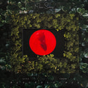 Moses Sumney - Live From Blackalachia | Mint (M) Mint (M)