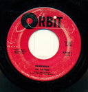 Remember / Can I Walk You Home (7" VINYL) | Generic