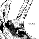 G.A.M.S. - G.A.M.S. |